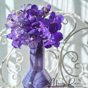 Ramo de Orquídeas Vanda Artificiales de EVA, 9 Cabezas, Color Morado, PVC, Decoración para Bodas y Hogar - Product Image 2