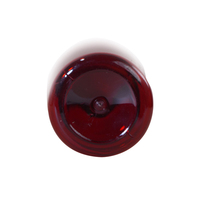 Botella de Plástico PET Roja de 120 ml, Envase para Jarabe Líquido Oral con Tapa de Rosca