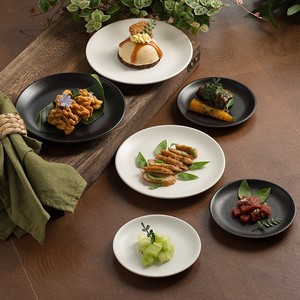 Piatto in Ceramica Classico Opaco Rotondo per Tè del Pomeriggio, Dessert, Snack e Servizio Quotidiano di Cibo, Decorazione Tavola - Product Image 1