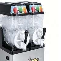 Machine à slush double cylindre en acier inoxydable, capacité 12L*2, pour boissons glacées écologiques, avec dégivrage automatique