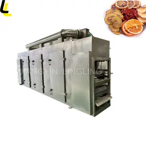Machine de séchage de maïs de pois verts en acier inoxydable Dw Machine de déshydrateur de ceinture de maille multicouche de pomme de terre