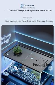 Kleine Luxe Eco Tank Transparant Goudvis <span class=keywords><strong>Aquarium</strong></span> Aluminium Deksel Injectie Pp Opslag Bak Voor Thuis Woonkamer Desktop CX-0012 - Product Image 6