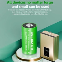 Batteries au lithium rechargeables de type C PUJIMAX 10000mWh 1,5V taille D pour cuisinière au gaz naturel, chauffe-eau, lampe de poche, radios
