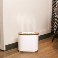 Diffuseur d'huiles essentielles électrique sans eau SCENTA pour la maison, commande en gros, marque privée, machine à parfum de bureau