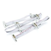 Câble plat IDC 10 broches multi-goutte 2x5 à connecteur mâle, bande rouge, AWM 105C pour bus de données en chaîne PLC RS485 OEM