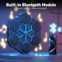 Machine de boxe musicale EPT 2026, jeu de frappe mural intelligent avec cible de réaction LED, cadeau d'anniversaire cool pour garçons