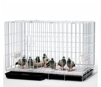 Grande Cage d'élevage de poulets confortable facile à nettoyer et à nourrir fil métallique pliant avec plateau petite Cage pour animaux de compagnie Cage pour pigeons