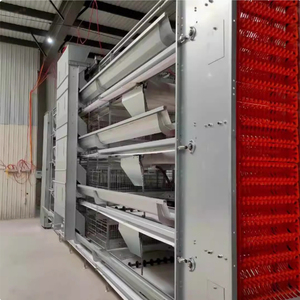 Vendita calda automatica H-tipo pollo batteria gabbie strato pollame attrezzature per l'agricoltura - Product Image 5