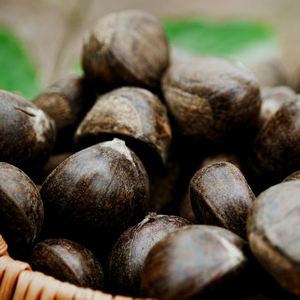 Castagne fresche biologiche di alta qualità e lavorazione cruda deliziosa e sana - Product Image 4