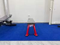 Banc de musculation professionnel robuste, avec coussin épais en PU, design plat fixe, pour musculation et levage de poids.