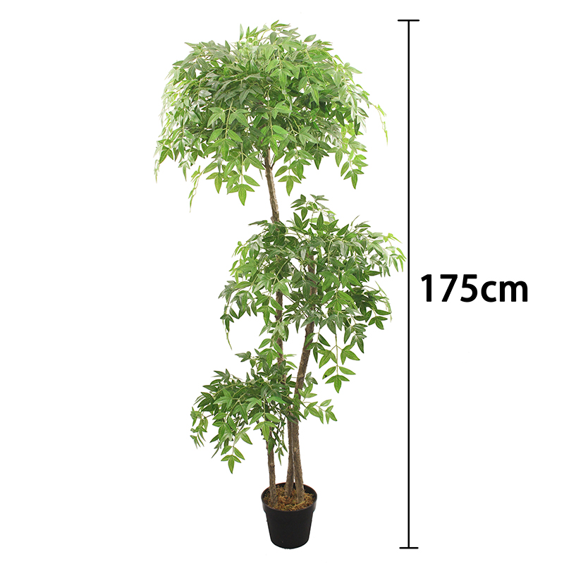 กองทัพสีเขียว