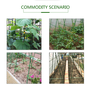 Estacas de Soporte para Plantas de 5 pies, Resistentes al Agua, de Hierro Fundido Recubierto de Plástico, Antioxidantes, para Jardín y Plantas Trepadoras - Product Image 3