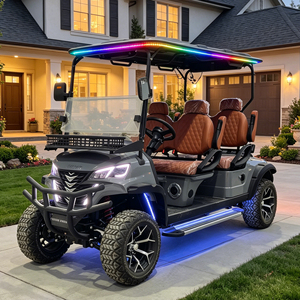 Carro de Golf Eléctrico Todoterreno Personalizable de 4 Plazas, 72V, con Techo Estrellado y Tira de Luces LED para Caza - Product Image 3