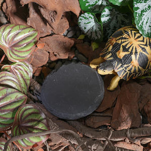 Panneaux <span class=keywords><strong>de</strong></span> roche pour la décoration d'enclos pour animaux <span class=keywords><strong>de</strong></span> compagnie, bassin d'alimentation à griffes <span class=keywords><strong>de</strong></span> <span class=keywords><strong>tortue</strong></span> terrestre, coussin <span class=keywords><strong>de</strong></span> refroidissement pour reptiles, plate-forme <span class=keywords><strong>de</strong></span> soleil pour <span class=keywords><strong>tortue</strong></span> - Product Image 5