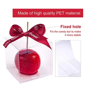 Clear Candy Apple Box With Hole Top PET Plastic Caramel Apple Cookie Box Gift Boxes For Apples Treats Party Favor