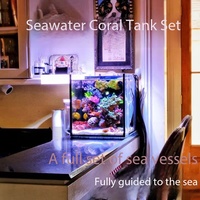 Ensemble complet de réservoirs d'eau de mer rectangulaires modernes en verre, réservoirs de coraux, petits aquariums ultra-blancs avec filtre arrière, kits d'équipement pour débutants pour salon