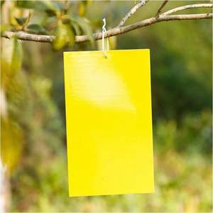 ใหม่ Ln <span class=keywords><strong>2022</strong></span>การควบคุมแมลงเหนียวสองด้านสำหรับพืช - Product Image 6