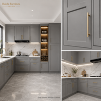 Meubles de cuisine modulaires en MDF avec panneaux mélaminés et évier en acier inoxydable pour projets d'appartements et de villas – Approvisionnement direct usine