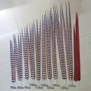 <span class=keywords><strong>Venta</strong></span> Económica <span class=keywords><strong>de</strong></span> Plumas <span class=keywords><strong>de</strong></span> Faisán Artificiales Largas <span class=keywords><strong>de</strong></span> Cola <span class=keywords><strong>de</strong></span> Faisán Reeves para Disfraces <span class=keywords><strong>de</strong></span> Danza y Decoración <span class=keywords><strong>de</strong></span> Carnaval - Product Image 2