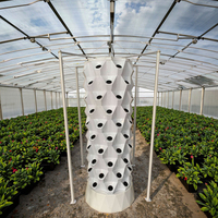 Système de culture hydroponique vertical pour ananas avec éclairage LED, structure en ABS, arrosage automatique complet pour usage agricole