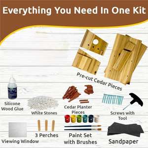 Modern Kuş Evi Ahşap İşleme Kiti Komple Kendin Yap Kuş Evi Yapım Kiti Kendi Kuş Evinizi Yapın Kuşlar için Yaratıcı Ahşap İşleme El Sanatları - Product Image 4
