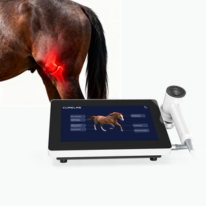 Thérapie de la douleur pour animaux de compagnie de classe 4 Système thérapeutique de chauffage des plaies Système de physiothérapie au <span class=keywords><strong>laser</strong></span> vétérinaire de classe 4 pour la thérapie par le cheval - Product Image 1