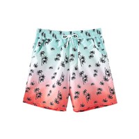 Shorts d'été imprimés pour homme, en nylon/polyester imperméable, décontractés, pour la plage, les vacances en bord de mer et le surf, avec cordon de serrage