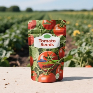 Túi Hạt giống cây trồng nông nghiệp tùy chỉnh in lá nhôm Hữu Cơ hạt giống rau tỏi hẹ túi đóng gói Hạt dưa chuột - Product Image 6