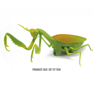 Simulación de plástico para niños, modelo de <span class=keywords><strong>Mantis</strong></span> religiosa Rc, coche de Animal electrónico realista, juguete de broma divertido, juguete de insectos con Control remoto infrarrojo - Product Image 4
