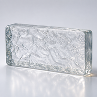Brique de verre massif 200x100x50mm, verre transparent cristallin, bloc de verre décoratif pour hôtel, villa, spa, mur d'accentuation, cloison