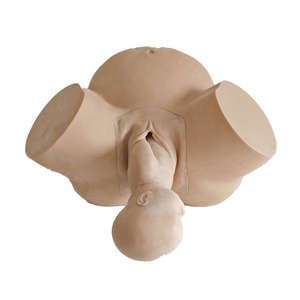 Modèle de bassin féminin Medica Science pour l'enseignement et la formation en sage-femme, simulateur d'accouchement anormal - Product Image 4