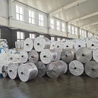Rouleau de plastique tissé en polypropylène PP de 54 cm, 60 cm, 80 cm pour la fabrication de sacs transparents