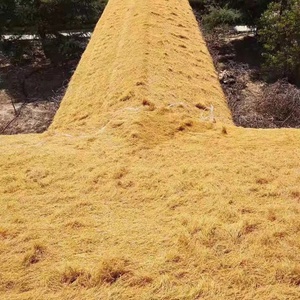 <strong>Thatch</strong> - Product Image 3