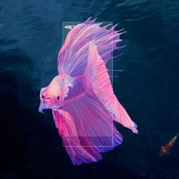 Écran LED transparent P2.5 personnalisé 3D holographique vidéo mur d'affichage intérieur centre commercial publicité extérieure prêt pour la location SDK