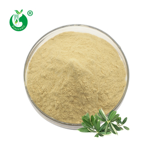 Natuurlijke Organische Olijfblad <span class=keywords><strong>Extract</strong></span> Poeder 50% Oleuropein - Product Image 1