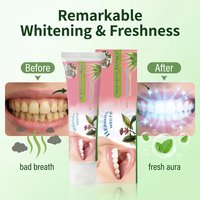 Prix de gros en vrac, directement de l'usine, prêt à être expédié, dentifrice personnalisé pour adultes, formule probiotique enzymatique à base de plantes, anti-sensibilité