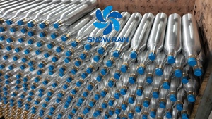 Cylindre de CO2 de 0,6 L certifié CE et DOT pour Sodastream, pour serre, pour appareil à <span class=keywords><strong>soda</strong></span> - Product Image 3