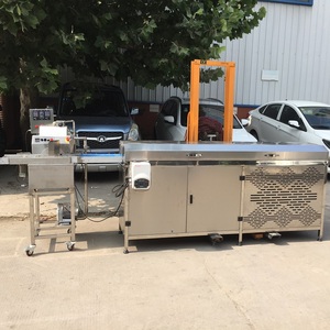 Giá Thấp Trung Quốc Bất Động Nhà Máy Mini Năng Lượng Thanh Sô Cô La Lớp Phủ Dòng Sô Cô La Nhỏ Enrobing Máy - Product Image 4