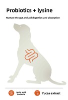 Nourriture pour chiens Magic Babe 48% viande fraîche, riche en protéines, pour la croissance musculaire, sac de 20 kg pour toutes les races