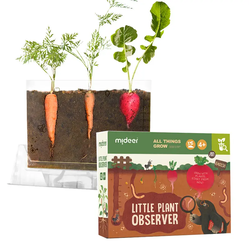 Kit de jardinería para plantar vegetales para habitación solar, observación, educación, ciencia, juguete DIY, juego de experimentos para cultivo de plantas para niños