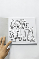 Impression de livre de coloriage personnalisé OEM, couverture souple, reliure parfaite, impression offset, fabricant