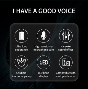 2024 New Arrival E2 Black Color VHF <strong>Wireless</strong> Dual <strong>Dynamic</strong> <strong>Microphone</strong> with AA Batteries - Product Image 2