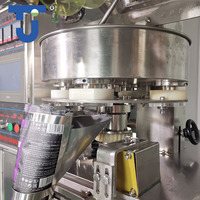 Machines d'Emballage Automatiques VFFS Multi-Fonctions pour Poudre d'Assaisonnement, Épices et Poivre Noir en Sachet, Idéales pour les Petites Entreprises