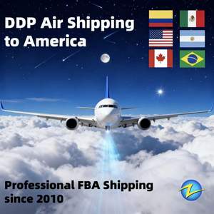 中国对美国汉堡鹿特丹比利时勒阿弗尔热那亚桑托斯船舶运输服务DAP条款 - Product Image 3