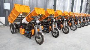 पेरु में 1500 किलो कार्गो ट्राईको इलेक्ट्रिक मिनी डम्पर 3 पहिया साइकिल डम्पर मिनेरिया खनन मशीन - Product Image 6