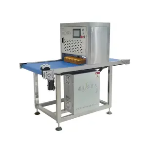 Taglio automatico linea operativa ad ultrasuoni foglio di torta macchina per torte e pane in catena di montaggio