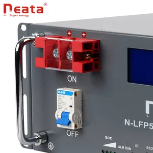 Neata Best Sale Embedded Powerstation 51.2V 100Ah Portable Emergency Lithium Batteries Power Station