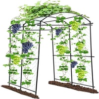 Arche de jardin moderne en acier inoxydable avec tunnel pliable et clips pour filet de grimpement, écologique pour la culture de plantes grimpantes
