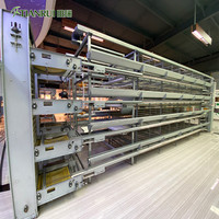 Tilta — Cage de poulet avec couche de batterie en H, Design moderne, système de ferme de volaille, système de Production d'œufs, maison, prêt à livraison