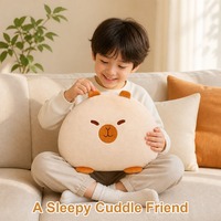 Coussin en peluche Capybara mignon avec visage brodé, coussin rond doux en forme d'animal pour la décoration moderne des canapés et un cadeau idéal pour un salon confortable